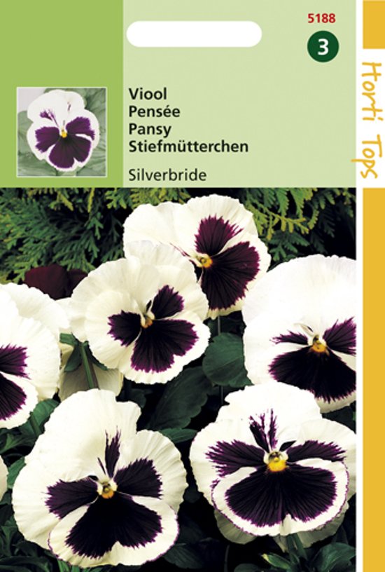 Veilchen Silverbride (Viola wittrockiana) 320 Samen HT